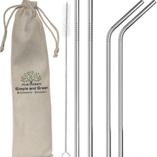 Reusable Eco-friendly Stainless Steel Straws – Set of 4