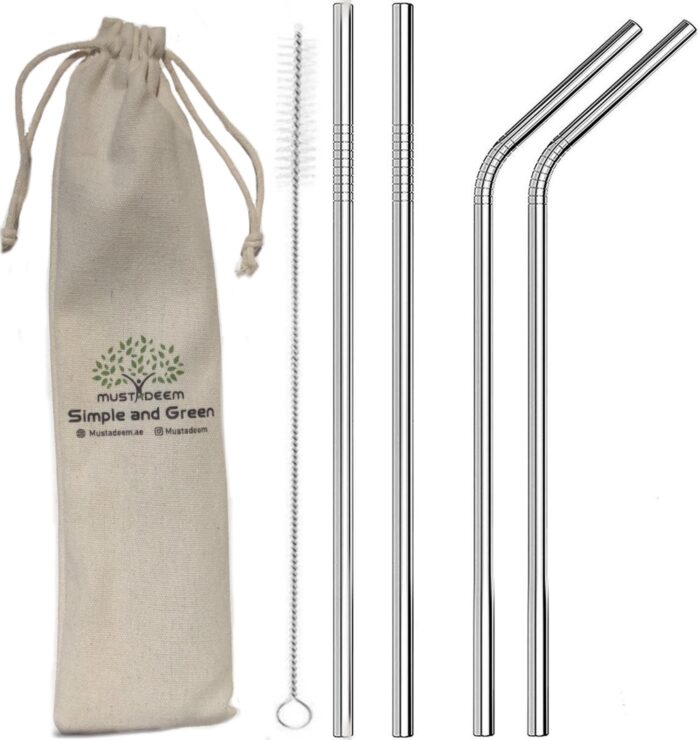 Reusable Eco-friendly Stainless Steel Straws – Set of 4