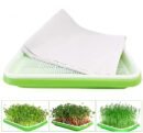 Sprouting Papers