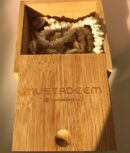 Wooden box for jewelry storing and gifts