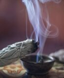 بخور يربا سانتا – كاليفورنيا