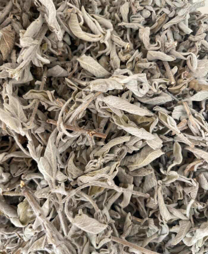 Palestinian sage - Image 2
