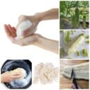 Natural Loofah