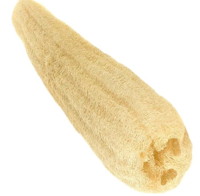Natural Loofah