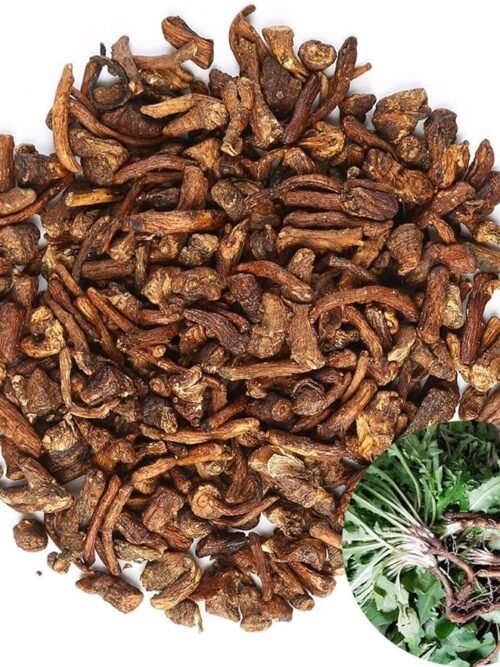 جذور الهندباء البرية العضوية المحمصة_100غرام(الولايات المتحدة الامريكية).