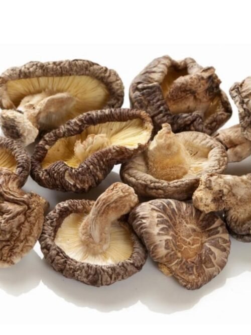 فطر الشيتاكي المجفف العضوي_الصين