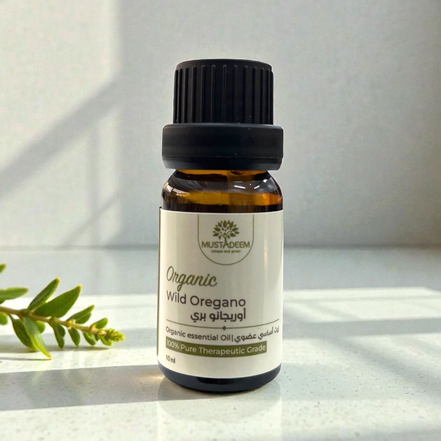Organic Wild Oregano Essential Oil – Spain